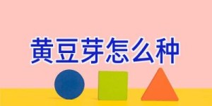 黄豆芽怎么种