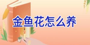 金鱼花怎么养