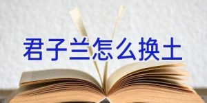 君子兰怎么换土