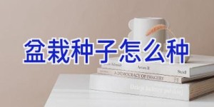 盆栽种子怎么种