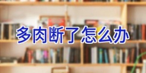 多肉断了怎么办