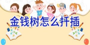 金钱树怎么扦插