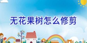 无花果树怎么修剪