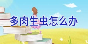 多肉生虫怎么办