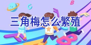 三角梅怎么繁殖