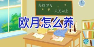 欧月怎么养