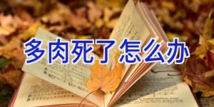 多肉死了怎么办