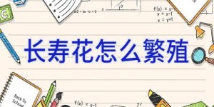 长寿花怎么繁殖