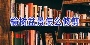 榆树盆景怎么修剪