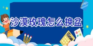 沙漠玫瑰怎么换盆