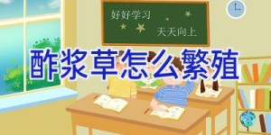 酢浆草怎么繁殖