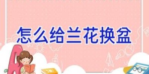 怎么给兰花换盆