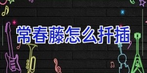 常春藤怎么扦插