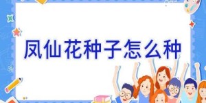 凤仙花种子怎么种
