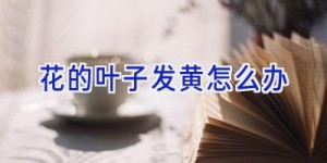 花的叶子发黄怎么办