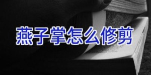 燕子掌怎么修剪