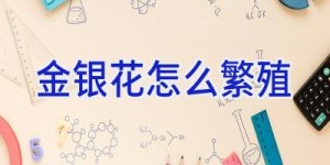 金银花怎么繁殖