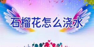 石榴花怎么浇水