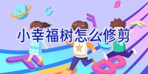 小幸福树怎么修剪