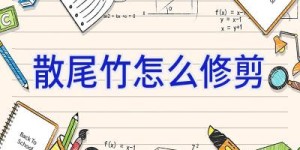 散尾竹怎么修剪