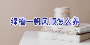绿植一帆风顺怎么养