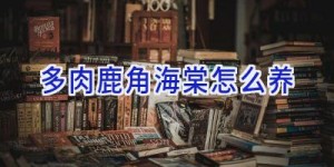 多肉鹿角海棠怎么养