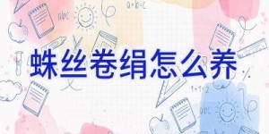蛛丝卷绢怎么养