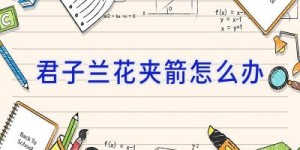 君子兰花夹箭怎么办