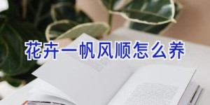 花卉一帆风顺怎么养