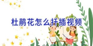 杜鹃花怎么扦插视频