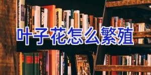 叶子花怎么繁殖