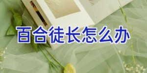 百合徒长怎么办