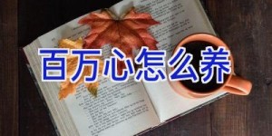 百万心怎么养
