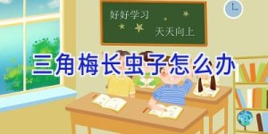 三角梅长虫子怎么办