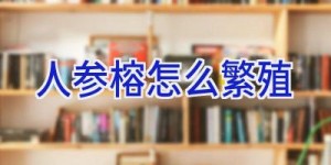 人参榕怎么繁殖