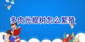 多肉光棍树怎么繁殖