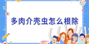 多肉介壳虫怎么根除