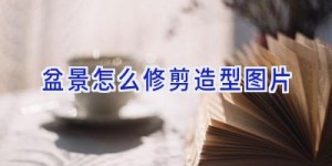 盆景怎么修剪造型图片