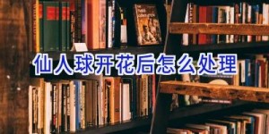 仙人球开花后怎么处理