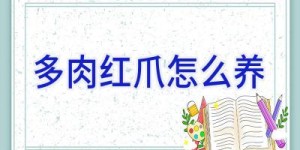 多肉红爪怎么养