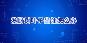 发财树叶子出油怎么办