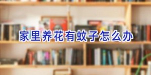 家里养花有蚊子怎么办