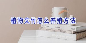 植物文竹怎么养殖方法