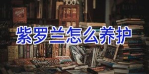 紫罗兰怎么养护