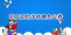 花店买的洋桔梗怎么养