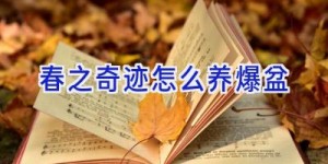 春之奇迹怎么养爆盆