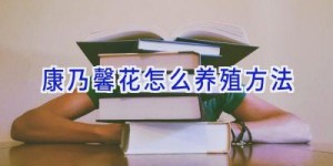 康乃馨花怎么养殖方法