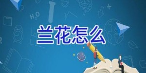 兰花怎么