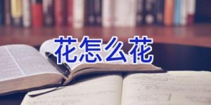 花怎么花