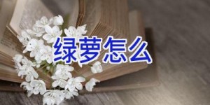 绿萝怎么